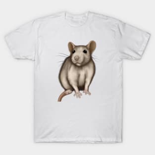 Cute Rat Drawing T-Shirt